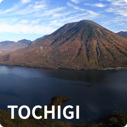 Tochigi Prefecture information page